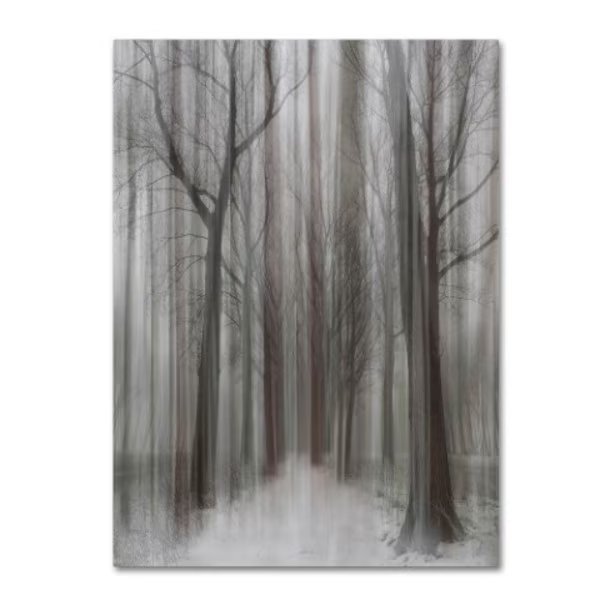 Yvette Depaepe 'Winter Walz' Canvas Art, 18x24, Trademark Fine Art, Mfr#: 1X01798-C1824GG